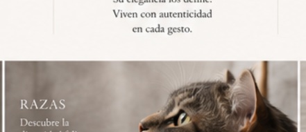 Razas